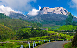 Just Outside
Munnar